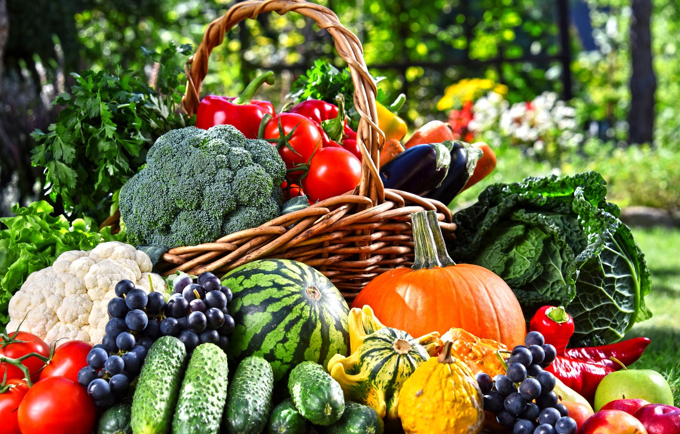 Fruits and Vegetables Export - Noorissa Enterprises L.L.C.